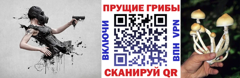 что такое   Мичуринск  Галлюциногенные грибы прущие грибы 